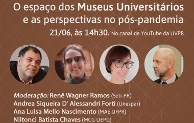 Painel virtual destaca museus universitários