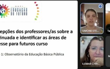Eixo 1 do Napi Educação do Futuro promove reunião para análise de diagnóstico sobre Formação Continuada de Professores